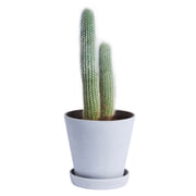 Hay - Blumentopf mit Untersetzer