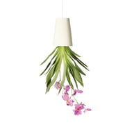 Boskke - Sky Planter Recycled